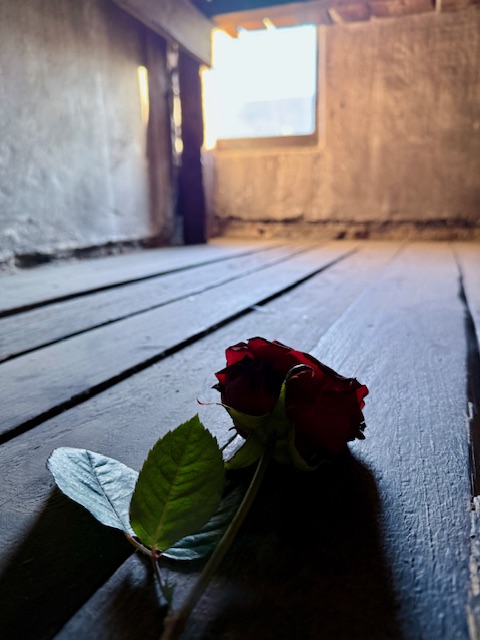 Miejsce które zmienia spojrzenie na świat