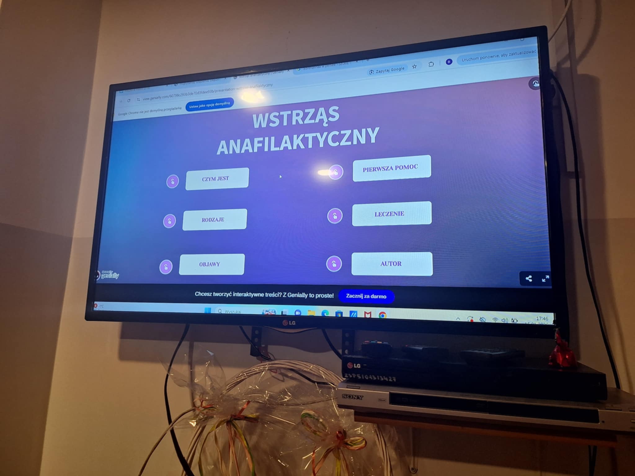 Pogryzienia, użądlenia i ukąszenia