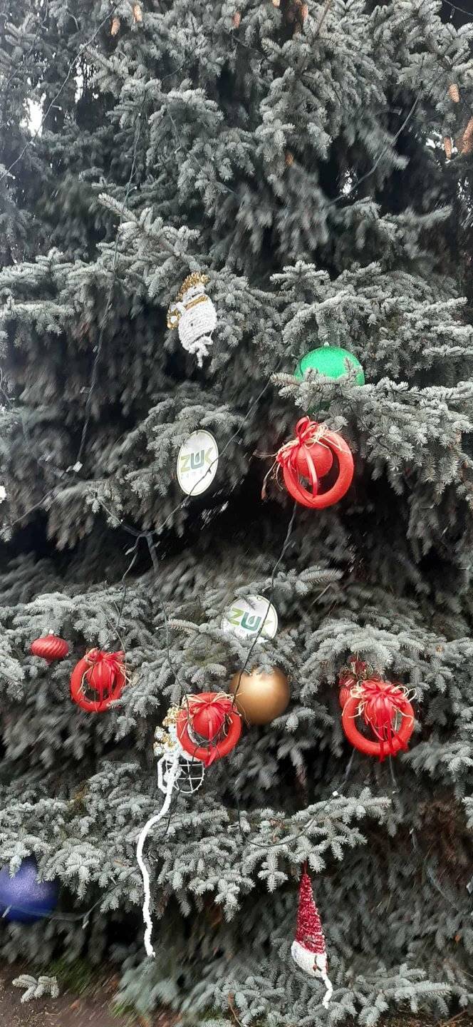 Razem na Święta w Zamościu