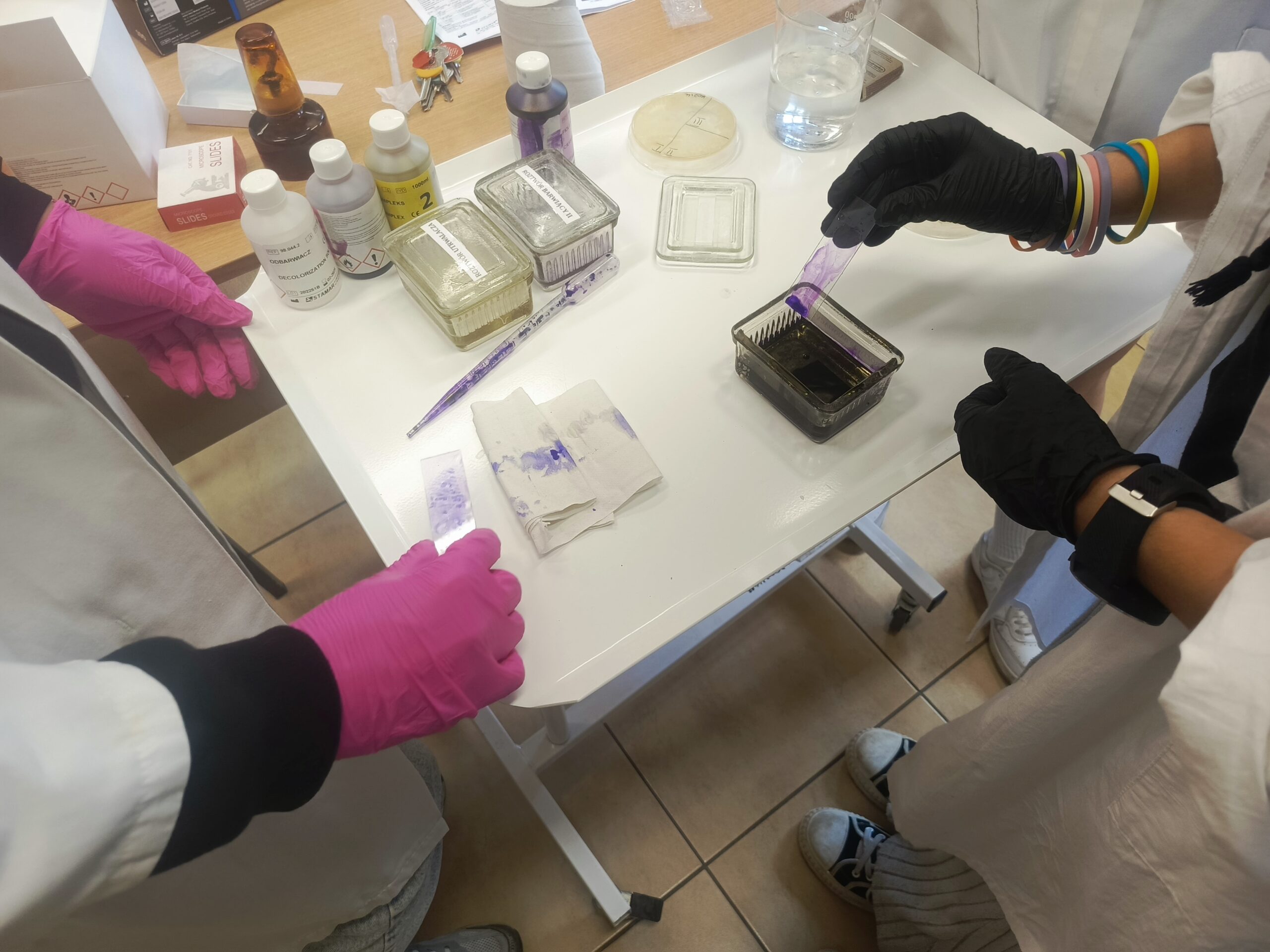 Klasy weterynaryjne ruszają do pracy