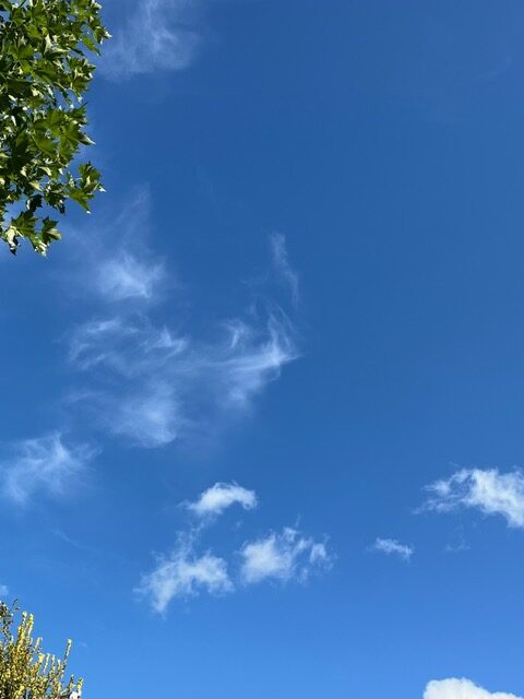 Dzień gapienia się w niebo