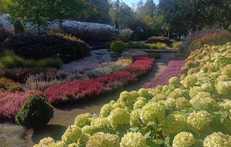 Z wizytą w ogrodzie sensualnym, szkółce roślin wrzosowatych Państwa Majewskich i szkółce Państwa Kurowskich